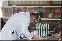LCFAIR-081218-0085.jpg