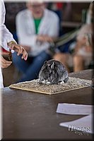 LCFAIR-081218-0098.jpg