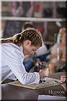 LCFAIR-081218-0100.jpg