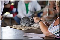 LCFAIR-081218-0103.jpg