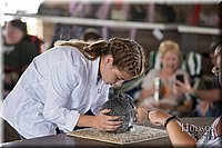 LCFAIR-081218-0105.jpg
