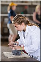 LCFAIR-081218-0106.jpg