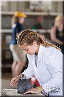 LCFAIR-081218-0107.jpg