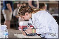 LCFAIR-081218-0108.jpg
