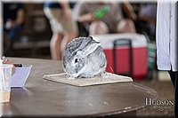 LCFAIR-081218-0120.jpg