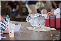 LCFAIR-081218-0121.jpg