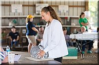 LCFAIR-081218-0122.jpg