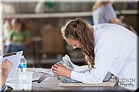 LCFAIR-081218-0128.jpg