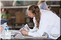 LCFAIR-081218-0130.jpg