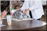 LCFAIR-081218-0137.jpg