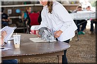 LCFAIR-081218-0140.jpg