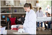 LCFAIR-081218-0142.jpg