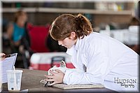 LCFAIR-081218-0161.jpg