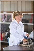 LCFAIR-081218-0173.jpg