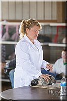 LCFAIR-081218-0175.jpg