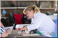 LCFAIR-081218-0180.jpg