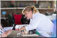 LCFAIR-081218-0181.jpg