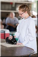 LCFAIR-081218-0183.jpg
