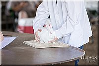 LCFAIR-081218-0197.jpg