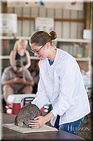 LCFAIR-081218-0202.jpg