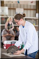 LCFAIR-081218-0203.jpg