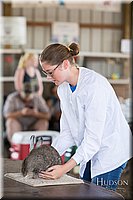 LCFAIR-081218-0204.jpg