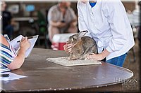 LCFAIR-081218-0205.jpg