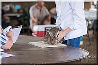 LCFAIR-081218-0207.jpg