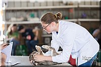 LCFAIR-081218-0208.jpg