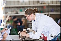 LCFAIR-081218-0209.jpg