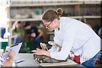 LCFAIR-081218-0211.jpg