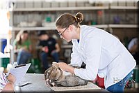 LCFAIR-081218-0212.jpg