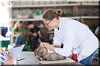 LCFAIR-081218-0213.jpg