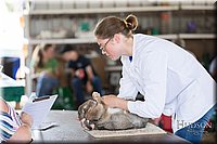 LCFAIR-081218-0214.jpg
