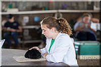 LCFAIR-081218-0221.jpg