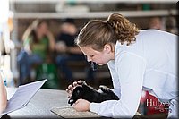 LCFAIR-081218-0222.jpg
