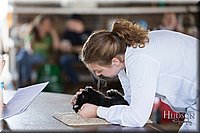 LCFAIR-081218-0224.jpg