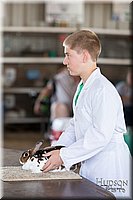 LCFAIR-081218-0226.jpg