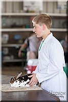 LCFAIR-081218-0227.jpg