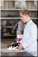 LCFAIR-081218-0228.jpg