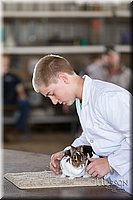 LCFAIR-081218-0230.jpg
