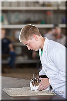 LCFAIR-081218-0231.jpg