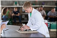 LCFAIR-081218-0236.jpg