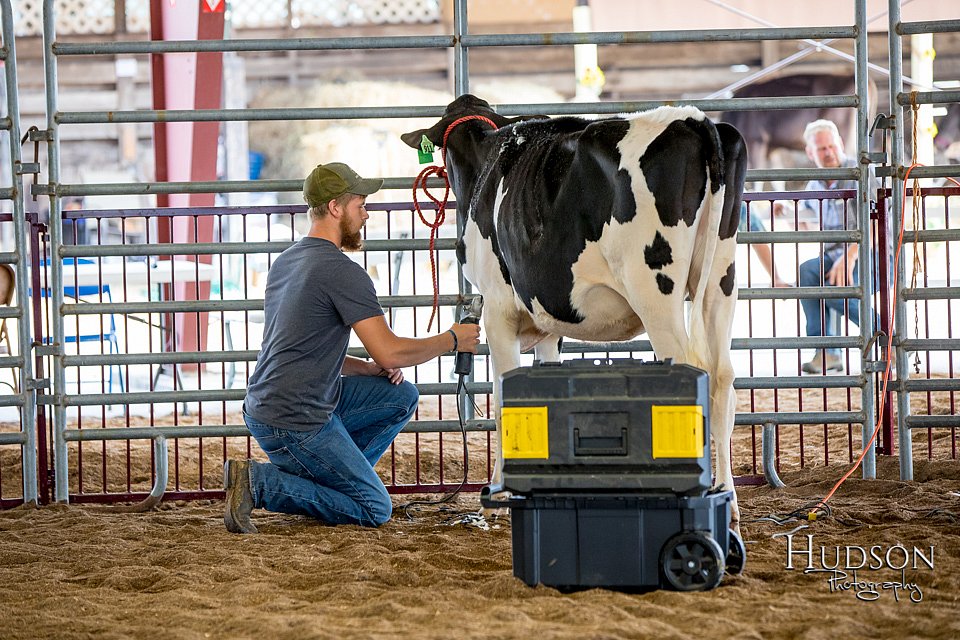 LCFAIR-081318-0598.jpg