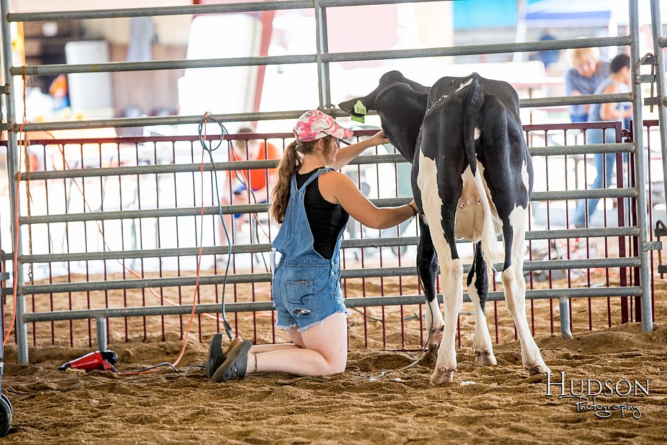 LCFAIR-081318-0613.jpg