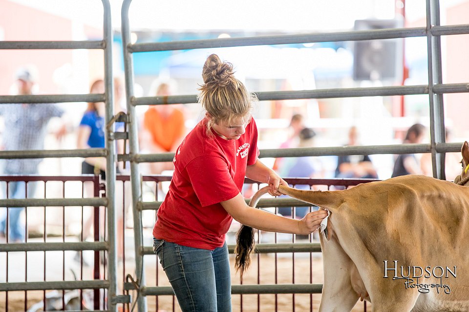 LCFAIR-081318-0659.jpg