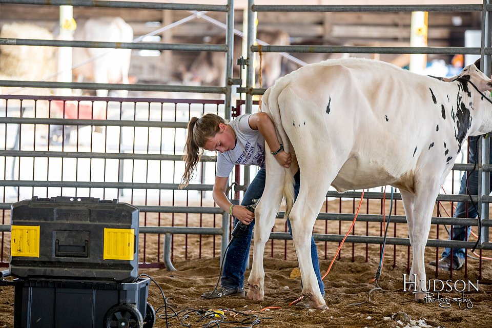 LCFAIR-081318-0672.jpg