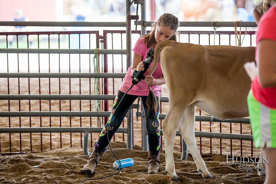 LCFAIR-081318-0733.jpg