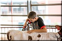 LCFAIR-081318-0668.jpg