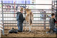 LCFAIR-081318-0682.jpg